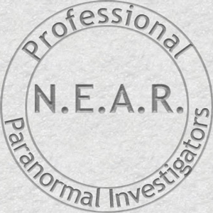 NEAR Watermark Logo